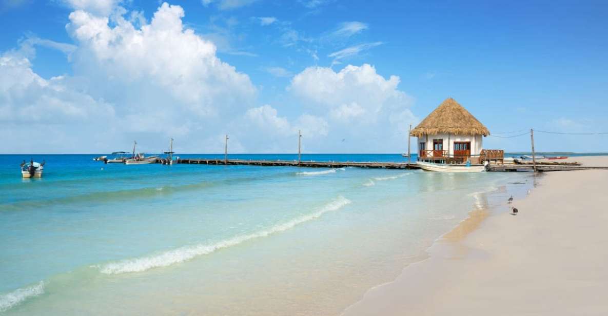 From Tulum: Holbox Island Full-Day Trip With Lunch - Highlights of the Tour