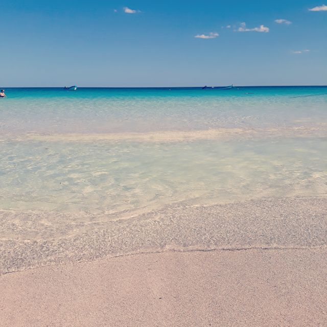 From Tulum: Holbox Island Full-Day Trip With Lunch - Activities on the Islands