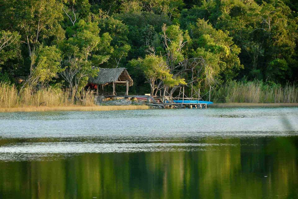 From Tulum: Punta Laguna Nature Reserve, Cenote & Coba Tour - Highlights at a Glance