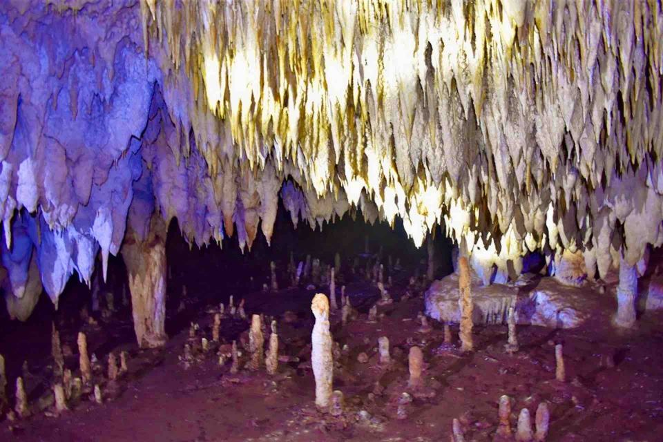 From Tulum: Punta Laguna Nature Reserve, Cenote & Coba Tour - Exclusions and Considerations