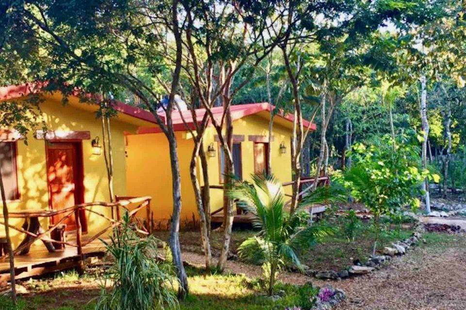 From Tulum: Punta Laguna Nature Reserve, Cenote & Coba Tour - Tour Duration and Group Size