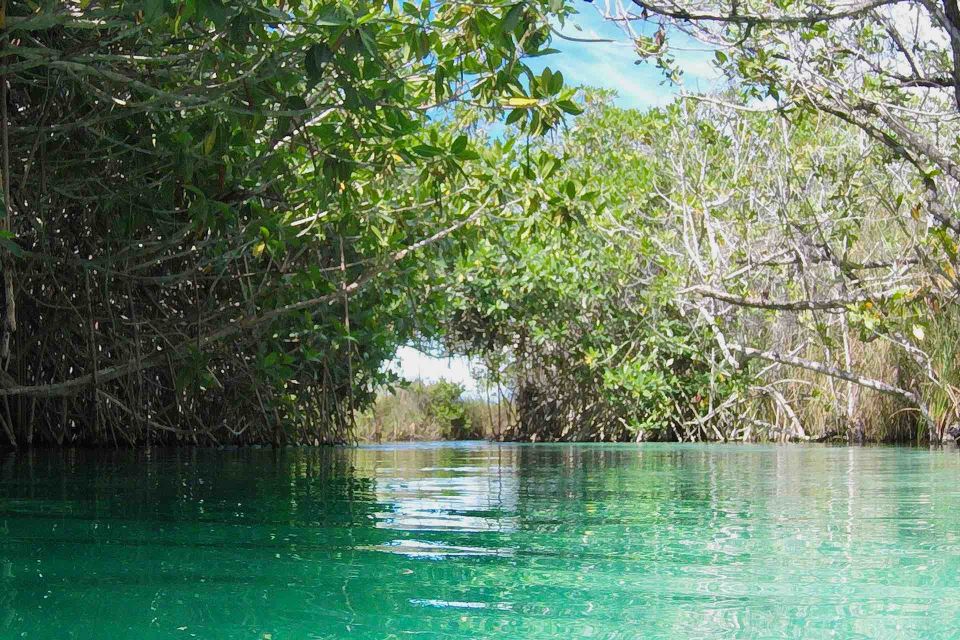 From Tulum: Sian Ka'an Muyil Lagoon Tour - Tour Highlights