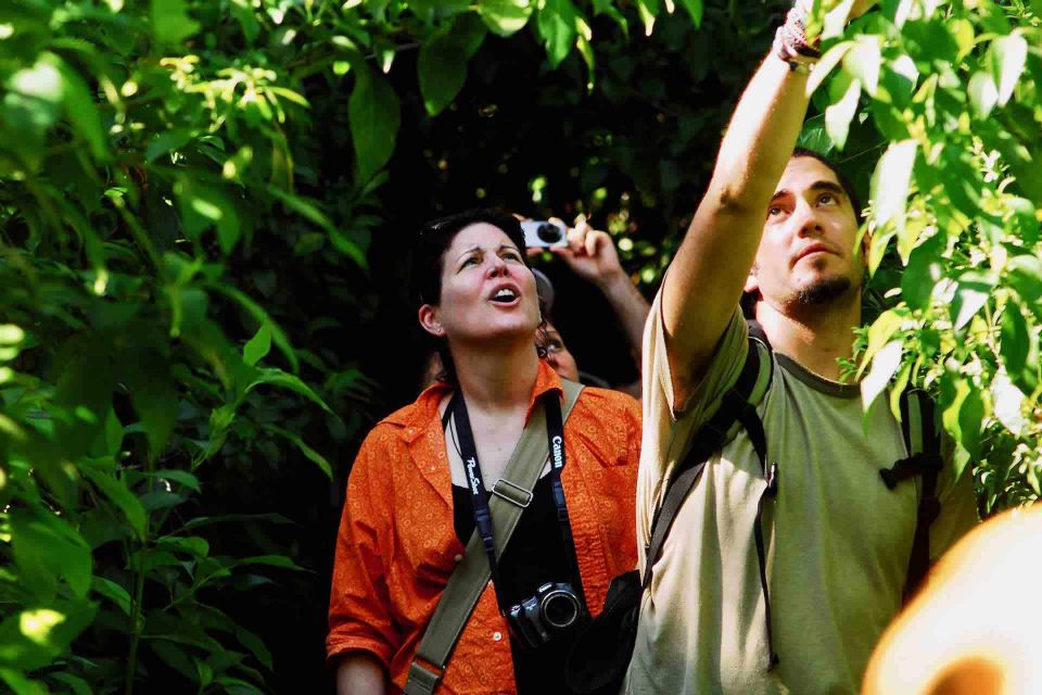 From Tulum: Sian Ka'an Muyil Lagoon Tour - Tour Activities