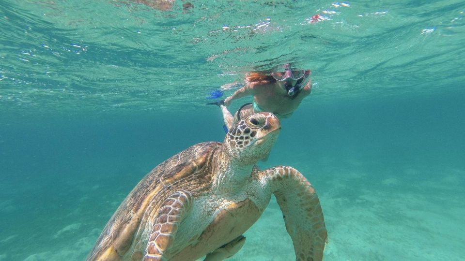 From Tulum: Tulum, Cenote and Turtle Swim Tour at Akumal - Transportation Included