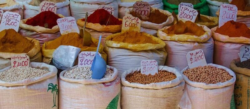 From Tunis/Sousse: Medina Bardo Carthage, Sidi Boussaid Tour - Transportation and Accessibility