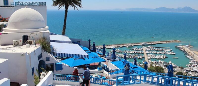 From Tunis/Sousse: Medina Bardo Carthage, Sidi Boussaid Tour - Discovering Bardo Museum