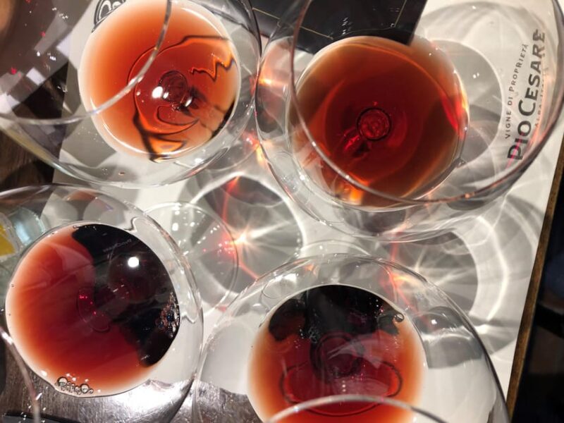 From Turin: Barolo & Barbaresco Tasting Tour - Overview of the Tour