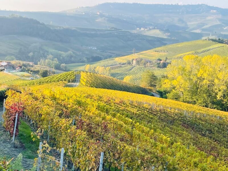 From Turin: Barolo & Barbaresco Tasting Tour - Detailed Breakdown of the Itinerary