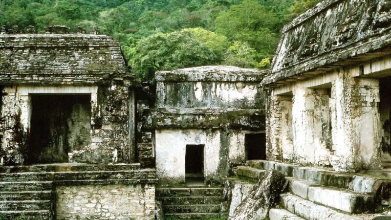 From Tuxtla Gutierrez: Palenque & Chiapas 4-Day Tour - The Itinerary in Detail