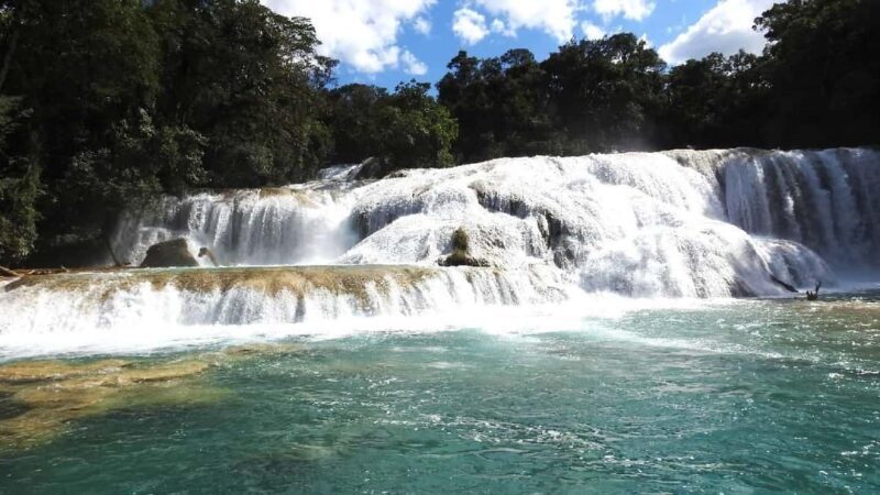 From Tuxtla Gutierrez: Palenque & Chiapas 4-Day Tour - FAQ
