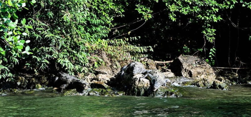 From Tuxtla:4 dias, Chiapas,Naturaleza,Cultura yMagia Guiado - Key Points