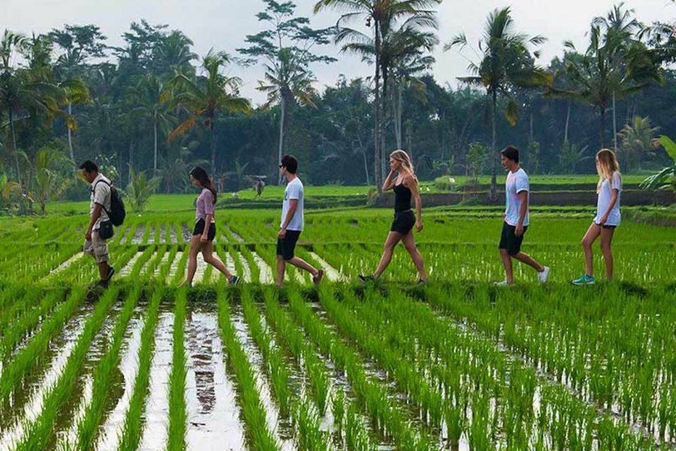 From Ubud: 3-Hour Tropical Trek and Taro Village Tour - Inclusions and Details