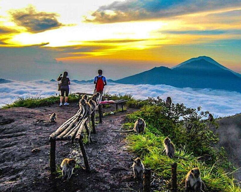 From Ubud: Mount Batur Hiking - Who Will Love This Tour?