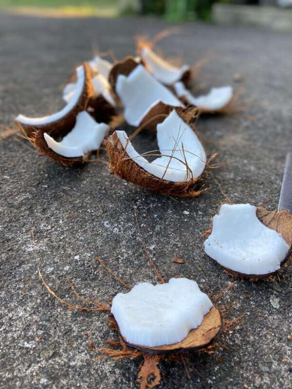 From Ubud: Traditional Bali Coconut Oil Class - Final Thoughts