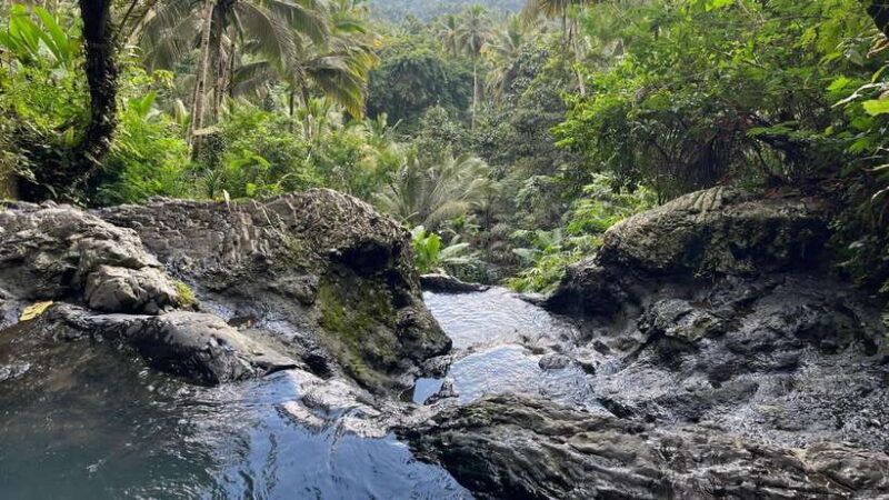 From Ubud: visit the best waterfalls arround - Practical Details: What You Need to Know