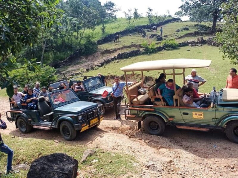 From Udaipur : Private Transfer To Ranthmbore - Travel Experience