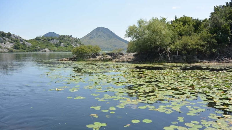 From Ulcinj: Rozafa Castle ,Skadar Lake and Skadar Tour - Authentic Experiences and Reviews