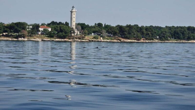 From Umag: Boat Tour to Savudrija with Swimming and Dolphins - Key Points