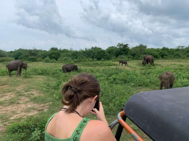 From Unawatuna: Udawalawe National Park Safari with transfer - Setting the Scene: What to Expect on This Safari