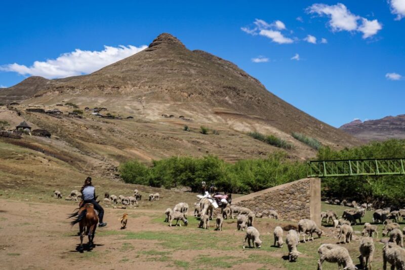From Underberg: Lesotho Day Trip With Picnic Lunch - Picnic Lunch in the Mountains