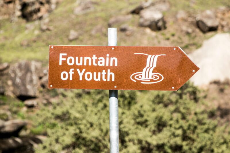 From Underberg: Sani Pass Private Day Tour - The Sum Up