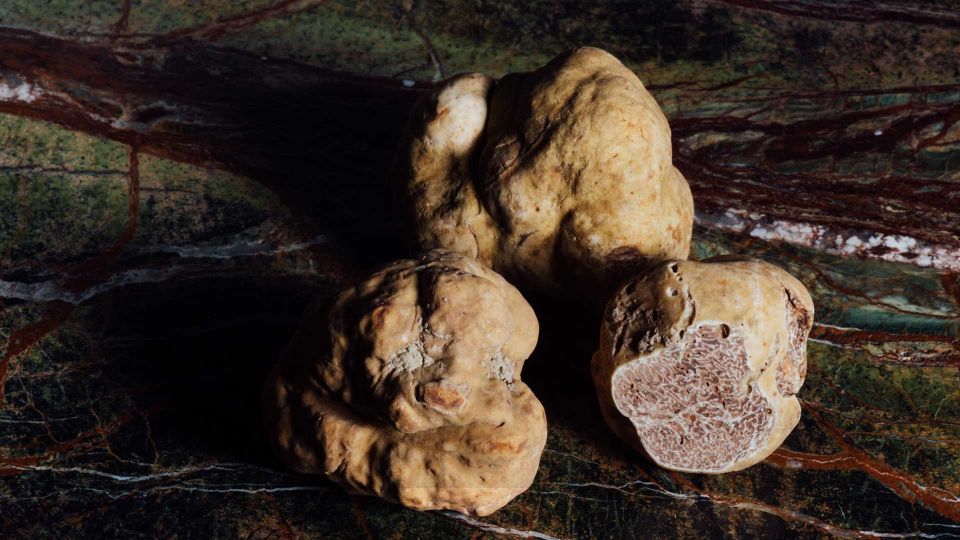 From Urbino: Montefeltro Tour With Truffle Lunch - Ducal Palace and Theater