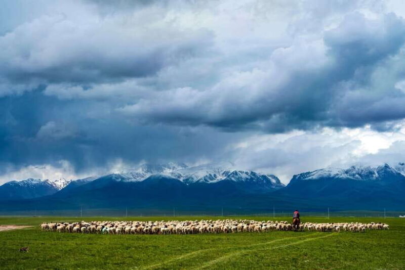 From Urumqi: 7-Day Silk Road Tour with Kashgar and Turpan - Who Is This Tour Perfect For?