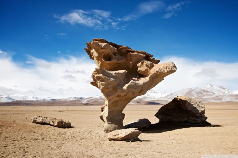 From Uyuni: Salt Flats Highlights Jeep Tour With Lunch - Key Points