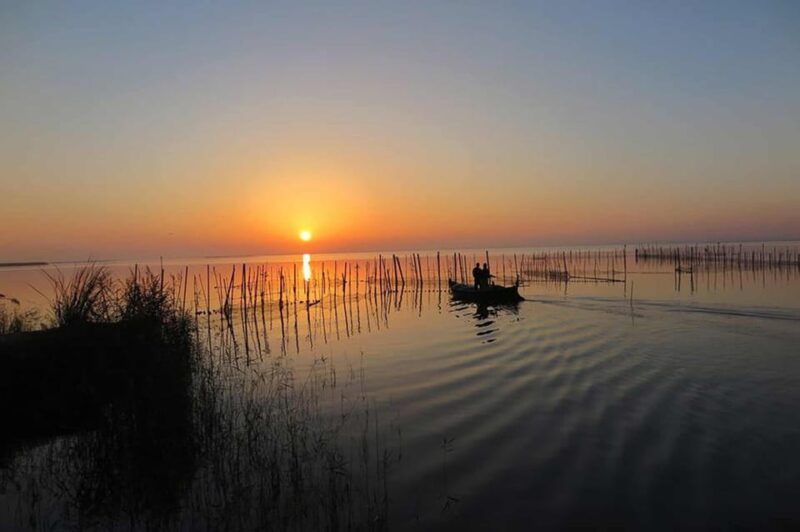 From Valencia: Albufera Boat Ride & Food (Paella) Included - Included Features