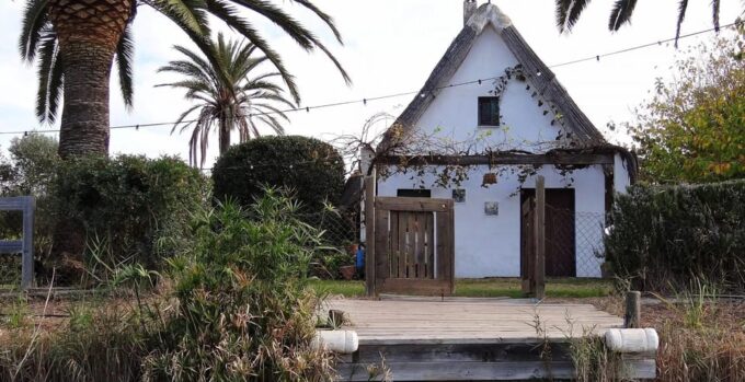 From Valencia: Albufera Boat Ride & Food (Paella) Included - Paella and Culinary Experience