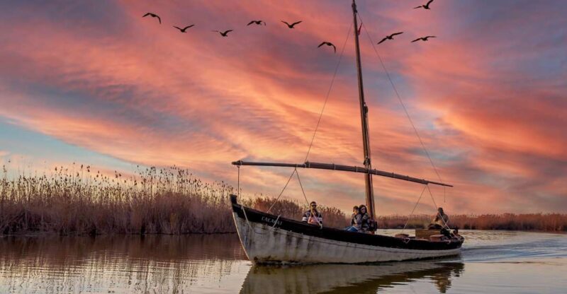 From Valencia: Albufera Day Trip With Boat Tour and Transfer - Exploring Albuferas Natural Beauty