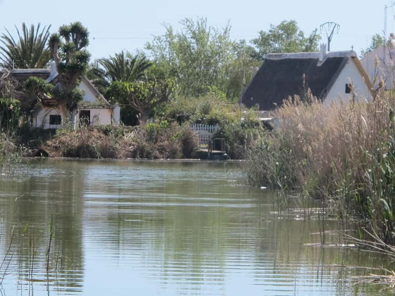 From Valencia: Albufera Natural Park Bus, Cruise and Lunch - An Overview of the Tour