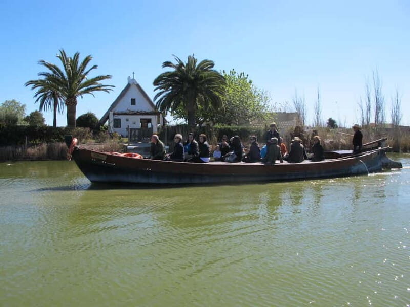 From Valencia: Albufera Natural Park Bus, Cruise and Lunch - The Itinerary in Detail