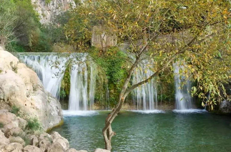 From Valencia: Excursion to Altea, Guadalest, and entrance to Fuentes del Algar - Key Points