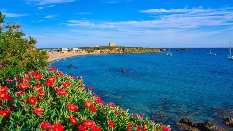 From Valencia/Gandia/Benidorm: Tabarca Island Full Day Trip - Authentic Experiences and Honest Value