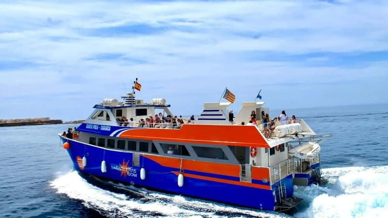 From Valencia/Gandia/Benidorm: Tabarca Island Full Day Trip - Who Should Consider This Tour?