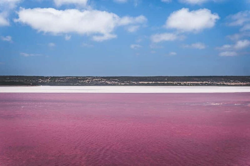 From Valencia: Pink lagoon and Alicante, colors, sea and sunshine. - Who Should Consider This Tour?