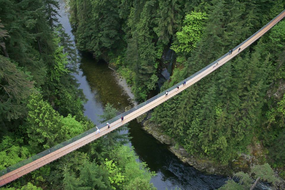 From Vancouver: Capilano Suspension Bridge & Grouse Mountain - Key Points