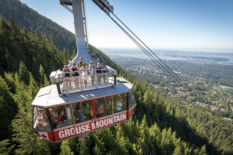 From Vancouver: Capilano Suspension Bridge & Grouse Mountain - Exploring Temperate Rainforest