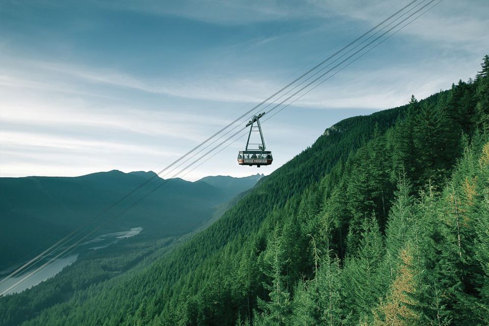 From Vancouver: Capilano Suspension Bridge & Grouse Mountain - Grouse Mountain Viewpoint