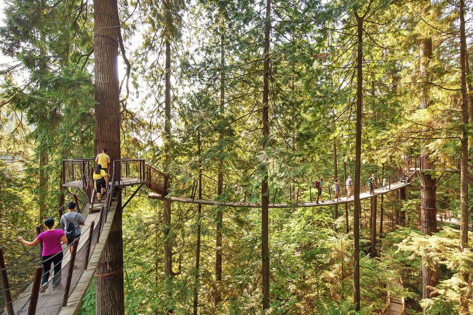 From Vancouver: Capilano Suspension Bridge & Grouse Mountain - Lumberjack Show Experience