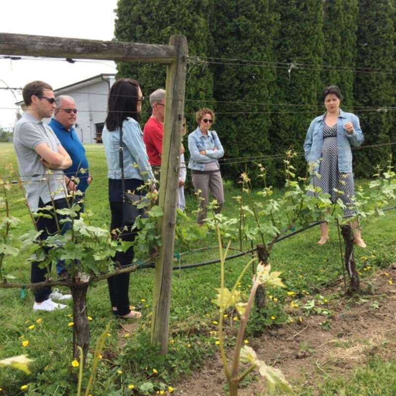 From Vancouver: Fraser Valley Wine Tour with Local Tastings - FAQ