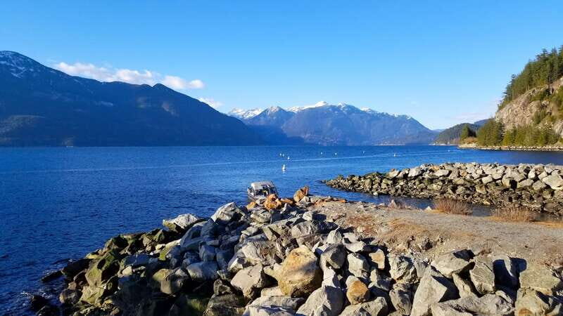 From Vancouver: Shannon Falls and Whistler Sightseeing Tour - Who Should Consider This Tour?