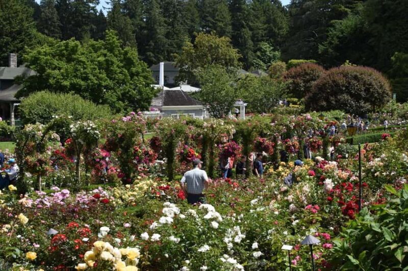 From Vancouver: Victoria & Butchart Gardens Tour with Cruise - Butchart Gardens: A Botanical Wonderland