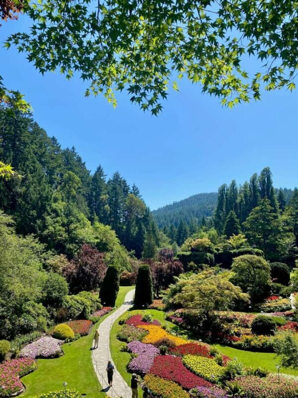 From Vancouver: Victoria & Butchart Gardens Tour with Cruise - Return Journey and Final Sightseeing
