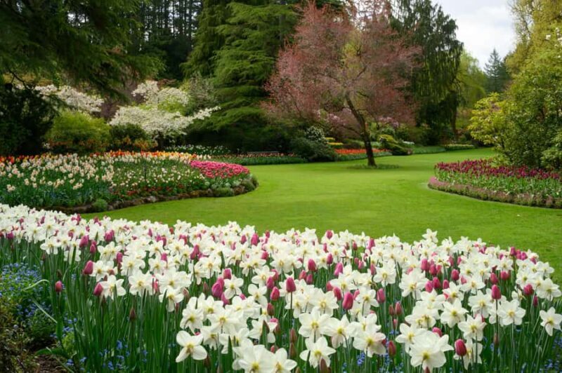From Vancouver: Victoria & Butchart Gardens Tour with Cruise - The Overall Value
