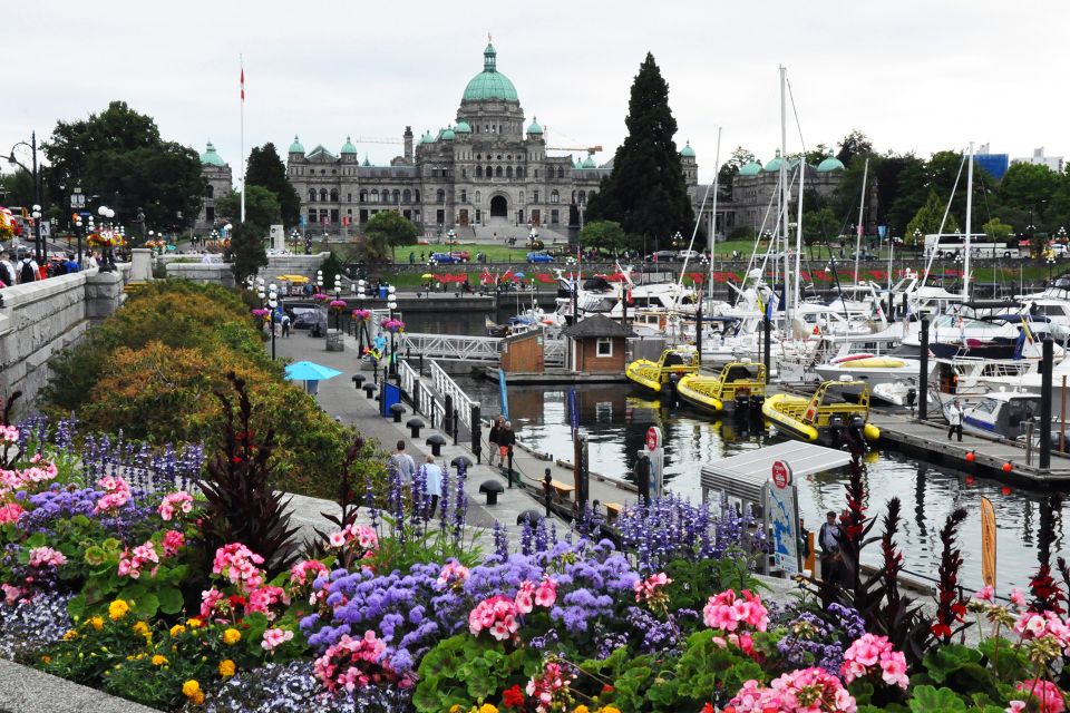 From Vancouver: Whale Watching and Victoria Trip by Seaplane - Covered Boat for Whale Watching
