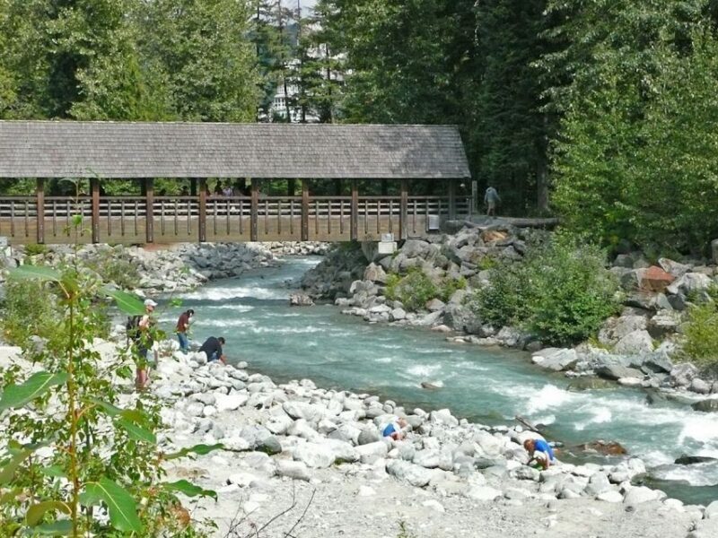 From Vancouver: Whistler and Shannon Falls Private Day Trip - Wrapping Up: Return to Vancouver