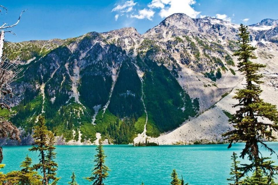 From Vancouver: Whistler Tour With Shannon Falls and Gondola - Shannon Falls Viewpoint