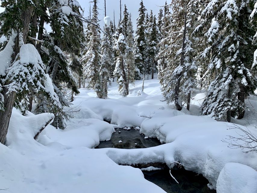 From Vancouver: Whistler Village and Lost Lake Snowshoe Trip - Tour Language Options